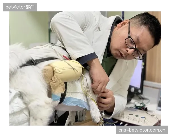 既然闭环补偿系统能提供精准数据，那么人类教练的“直觉判断”是否正面临被清退的风险？